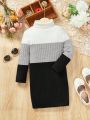 SHEIN Young Girl Color Block Turtleneck Dress