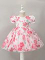 Baby Girls' Mesh Floral Printed Puffy Romantic Cute & Elegant Formal Dress