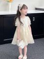 Toddler Girls' Patchwork Lace Mesh Dress