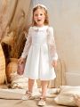 SHEIN Kids CHARMNG Toddler Girls Contrast Lace Collar Fold Pleated Dress