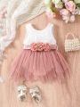 SHEIN Baby Girl's Elegant & Romantic Lace Fabric Sleeveless Mesh Dress For Photography Prop