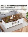 Farmhouse Coffee Table with Sliding Barn Doors & Storage, Modern Center Table Industrial Rectangular Cocktail Table with Adjustable Shelves for Living Room, White