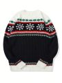 Men Geo Pattern Cable Knit Sweater