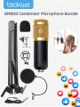 Teckwe Condenser Microphone Kit With Stand,Condenser Microphone With Cantilever Bracket For Streaming,Podcasting,Singing,Studio Recording & Gaming