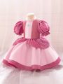 Baby Girl Colorblock Puff Sleeve Rhinestone Detail Gown Dress