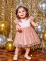SHEIN Baby Girl Ruffle Trim Mesh Overlay Party Dress