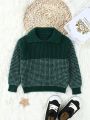 SHEIN Kids EVRYDAY Young Boy Color Block Sweater