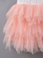 SHEIN Kids CHARMNG Toddler Girls Colorblock Lace Bodice Layered Mesh Hem Dress