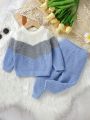 Baby Boys' Color Block Sweater And Pure Color Knitted Pants Set