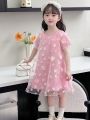 Young Girl Puff Sleeve 3d Floral Mesh Overlay Princess Dress