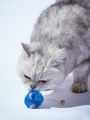 PETSIN Blue Mouse Shaped Cat Toy