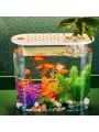 Pvc Acrylic Plastic Fish Tank With Water Plants & Oval Design For Desktop. Transparent. Durable & Unbreakable. Suitable For Office & Home Decoration And As Turtle Tank.
