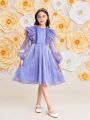 SHEIN Tween Girls' Slim Fit Gorgeous Double-Layered Mesh Dress With Ruffle Collar And Sheer Sleeves