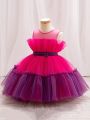 Baby Girls' Color Block Mesh Party Dress