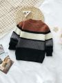 SHEIN Kids EVRYDAY Young Boy Color Block Ribbed Knit Sweater