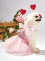 PETSIN Pink Glitter Bow Tie Ribbon Small Formal Dress, Valentine's Day Pet Cat Dog Skirt