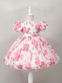 Baby Girls' Mesh Floral Printed Puffy Romantic Cute & Elegant Formal Dress