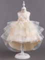 Young Girls' 3d Flower & Mesh Patchwork Princess Dress