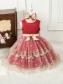 Baby Girls' Embroidered Tulle Puffy Multi-Layered Lovely Dress