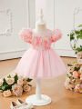 Baby Girl's Romantic And Elegant 3d Rose Flower Mesh Dress
