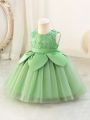 Baby Girl Embroidered Floral Applique Mesh Tulle Party Dress
