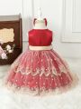 Baby Girls' Embroidered Tulle Puffy Multi-Layered Lovely Dress