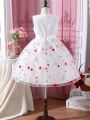 Tween Girls' 3d Flower Embroidery Tulle Puff Sleeveless Party Dress