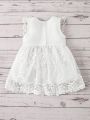 Baby Scallop Trim Button Back Contrast Lace Flared Hem Dress