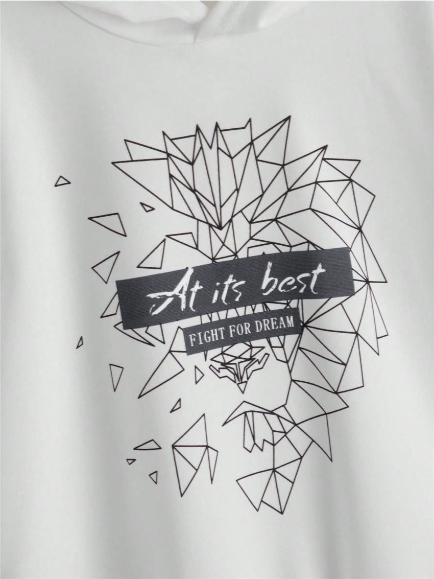 SHEIN Tween Boy Slogan Graphic Hoodie & Drawstring Waist Pants