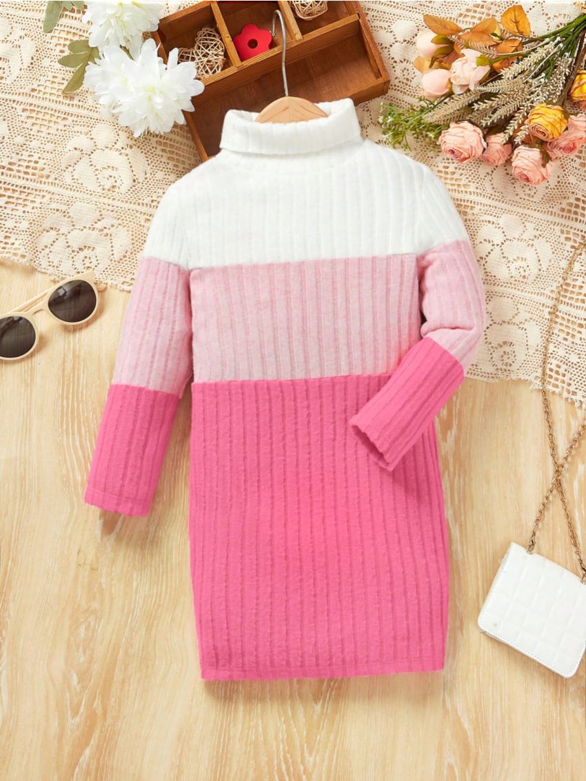 SHEIN Young Girl Colorblock Turtleneck Ribbed Knit Dress
