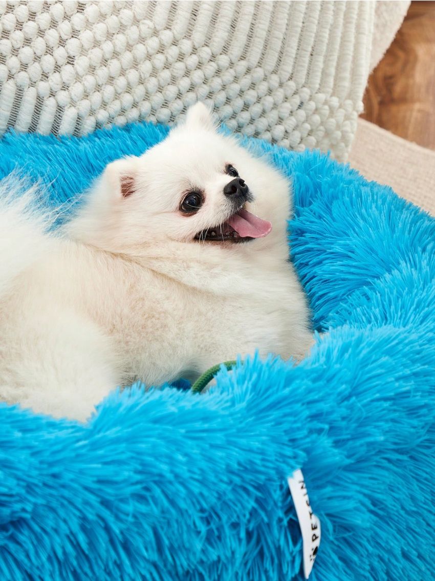 PETSIN Blue Plush & Washable Pet Bed Round Cushion, Suitable For Cats And Dogs For Deep Sleep And Warmth