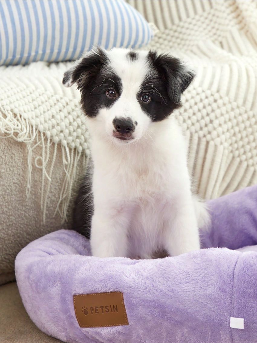 PETSIN Pink Purple Short Plush Soft Bedding Round Bed Mat For Deep Sleep, Washable, Suitable For Cats And Dogs