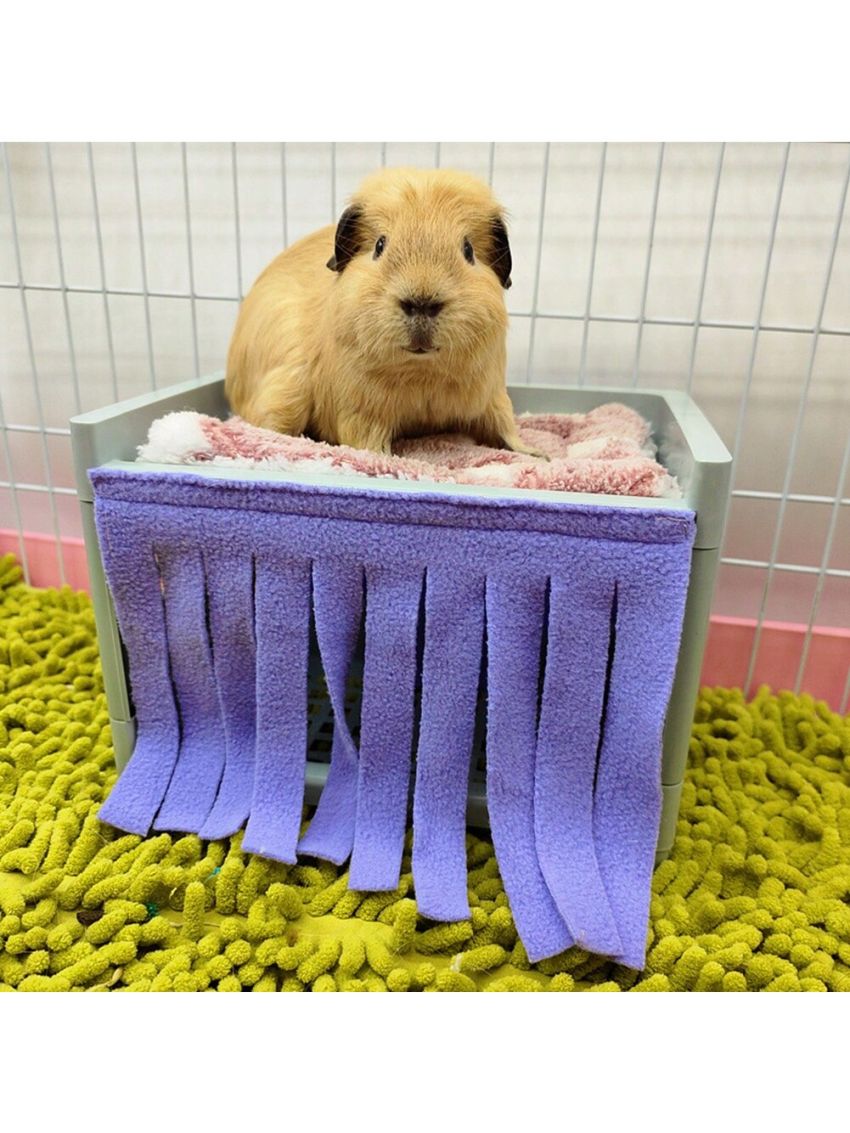 Hide House Bed Tassel Door Curtain Soft Comfortable Washable Small Animals Cage Accessories for Guinea Pig only 2 door curtains
