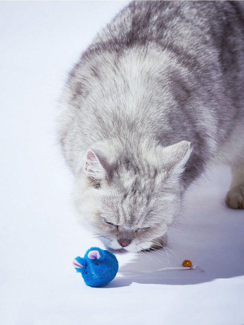 PETSIN Blue Mouse Shaped Cat Toy