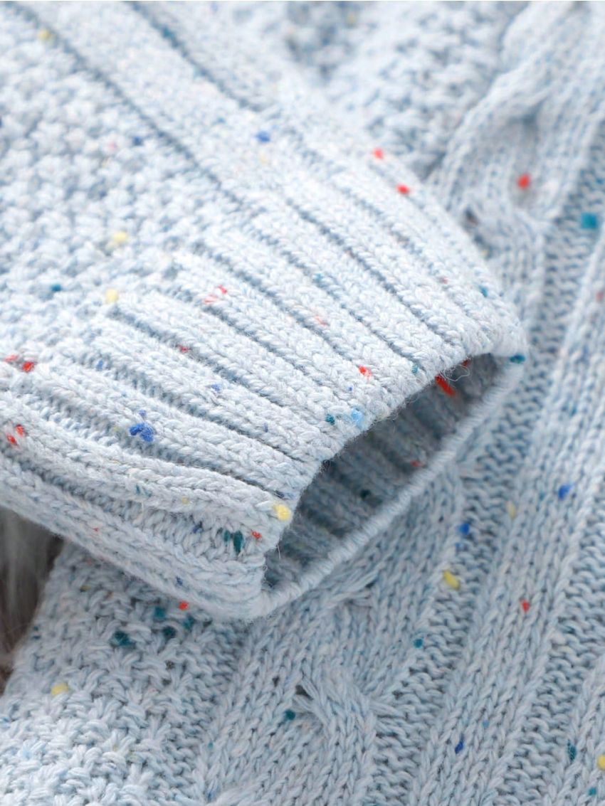 Baby Boy Lapel Button Up Cable Knit Cardigan