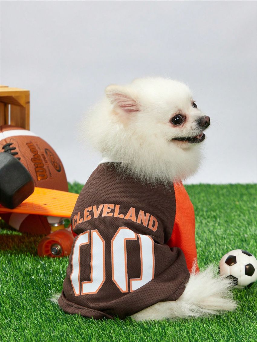 PETSIN Pet Football Sports Jersey, Dogs And Cats Blend T-Shirt With Bird Eye Fabric, Number Printed