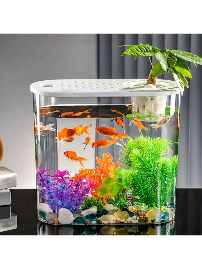Pvc Acrylic Plastic Fish Tank With Water Plants & Oval Design For Desktop. Transparent. Durable & Unbreakable. Suitable For Office & Home Decoration And As Turtle Tank.