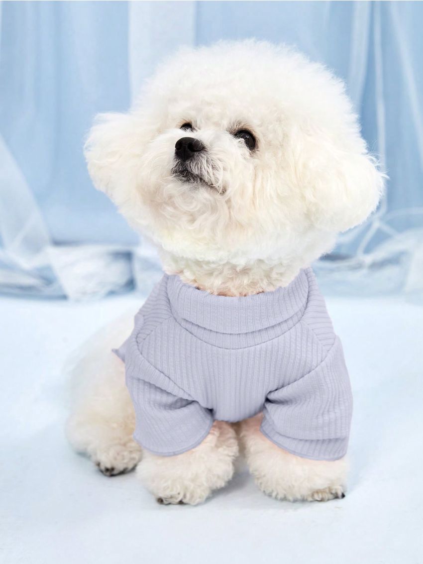 PETSIN Cute Pink-Purple Turtleneck Knitwear For Pets