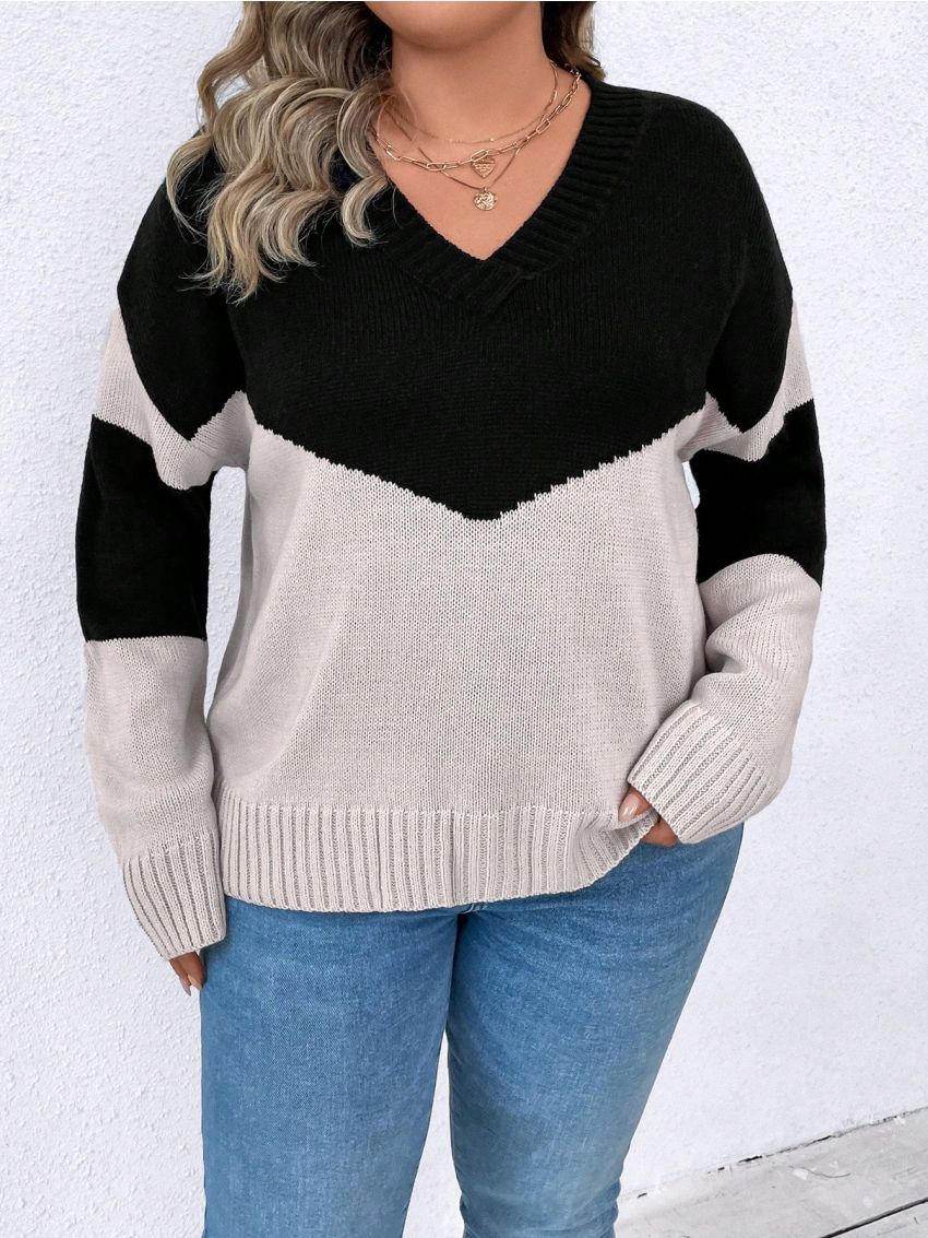 SHEIN LUNE Plus Two Tone Drop Shoulder Sweater