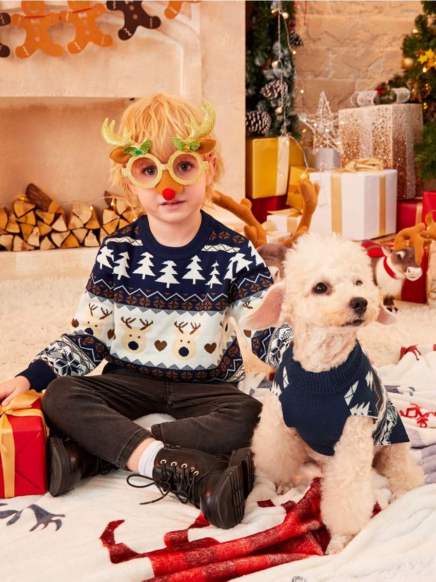 PETSIN Christmas Reindeer & Fair Isle Pattern Blue & White Pet Sweater