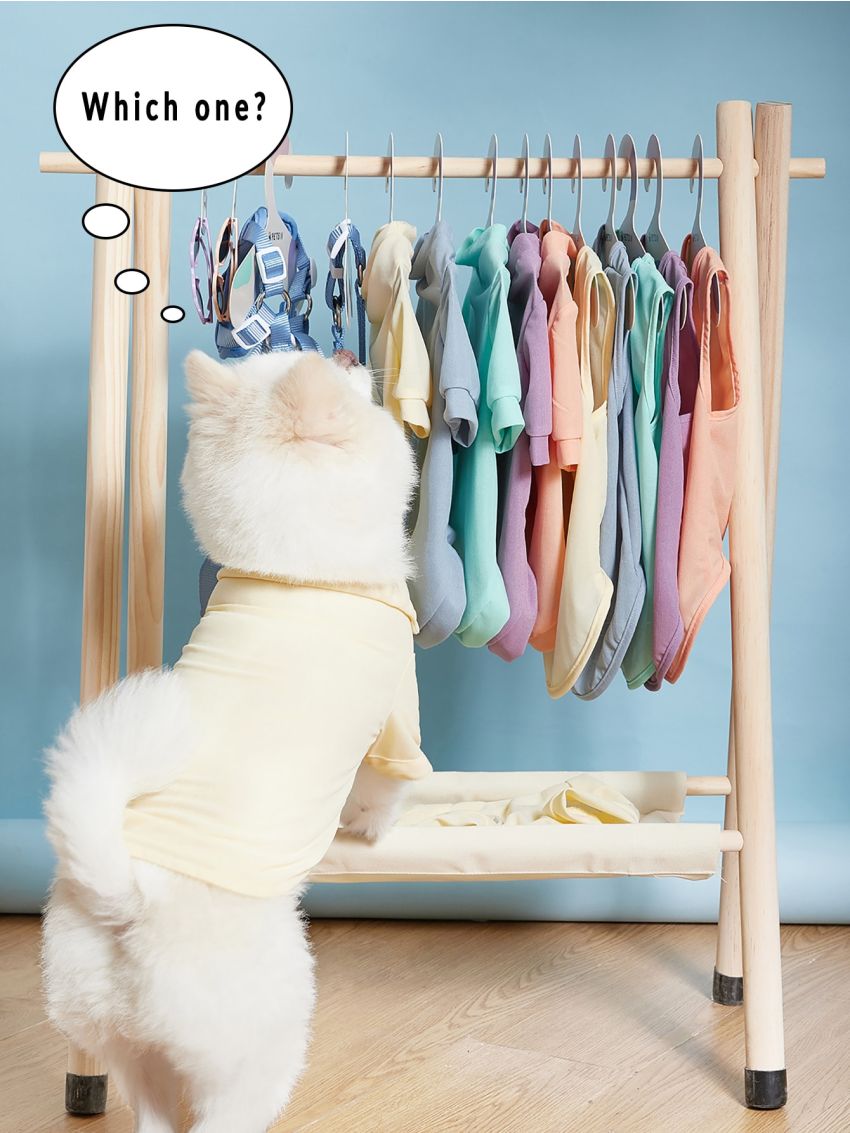 PETSIN 5sheets Paper Pet Hanger