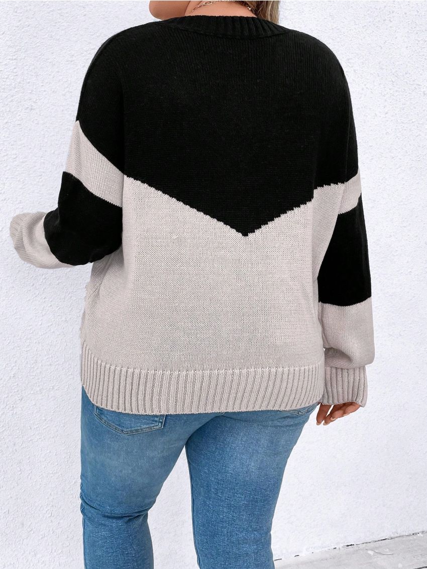SHEIN LUNE Plus Two Tone Drop Shoulder Sweater