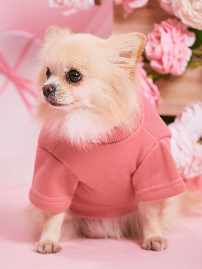 PETSIN Valentine's Day Petsin Pink Heart Patterned Pet Hoodie, 1pc