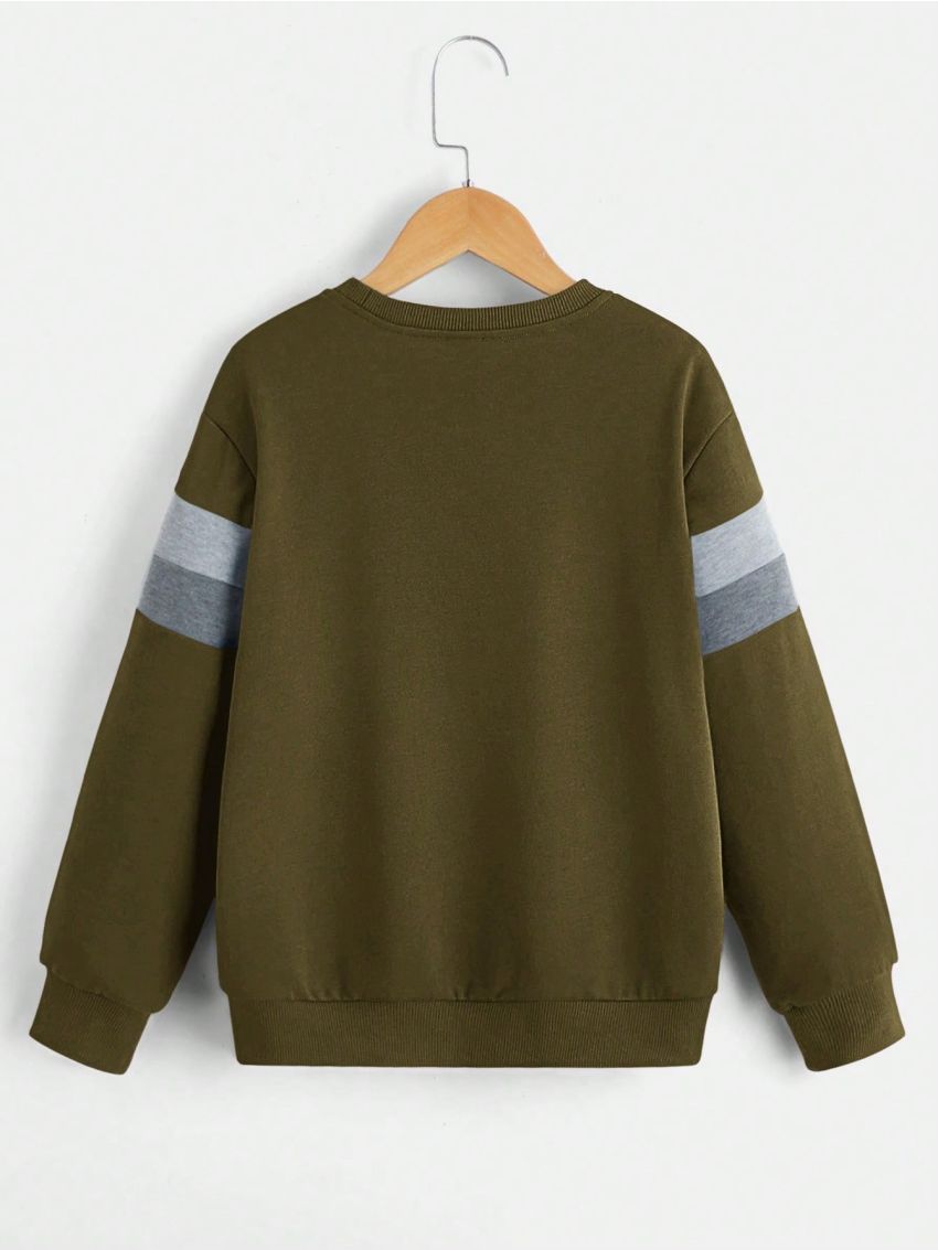 SHEIN Kids EVRYDAY Tween Boy Dinosaur Print Colorblock Sweatshirt