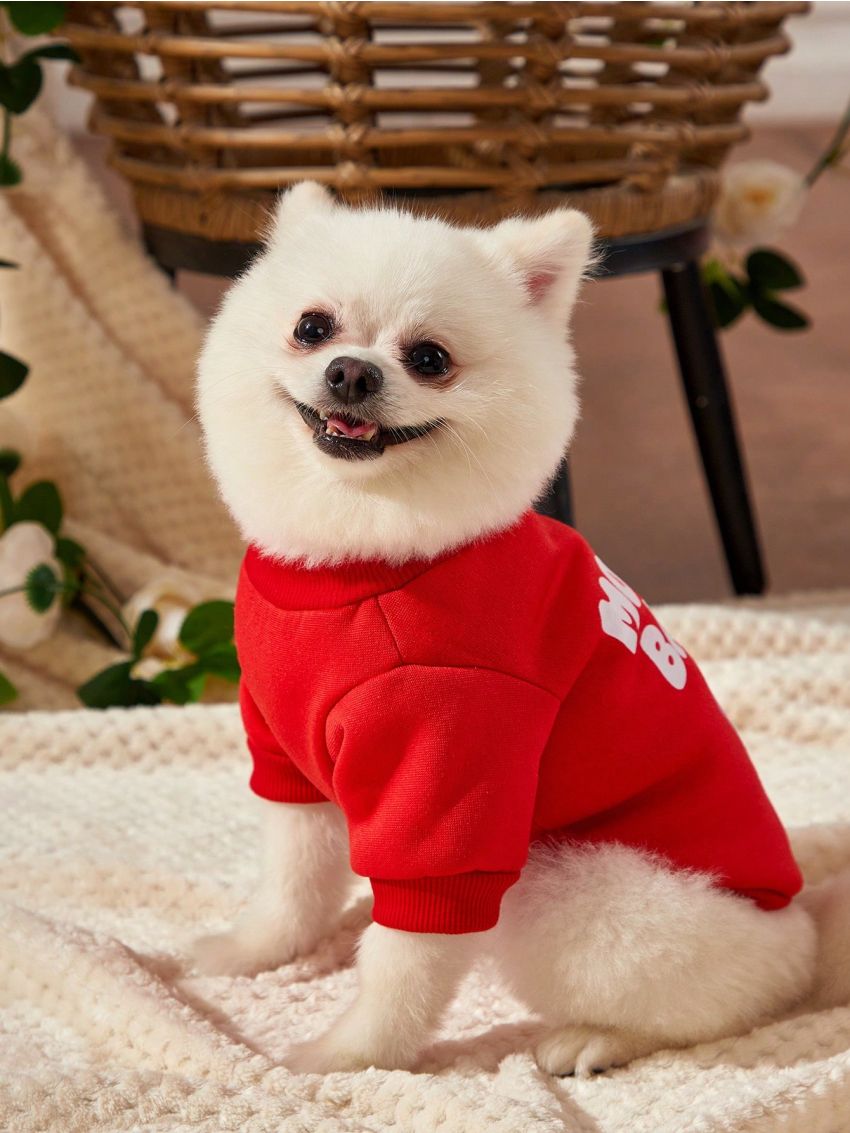 Debiesn 1pc Cute Red Baby Heart Pet Pattern Printed Warm Hoodless Sweater