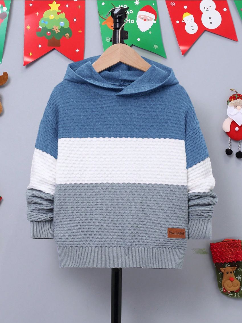 SHEIN Kids EVRYDAY Big Boys' Long Sleeve Color Block Hooded Pullover Sweater