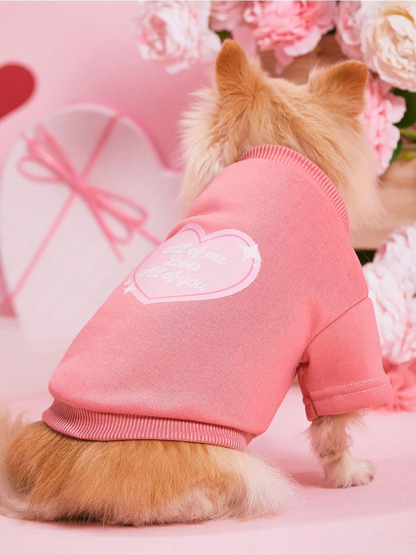 PETSIN Valentine's Day Petsin Pink Heart Patterned Pet Hoodie, 1pc