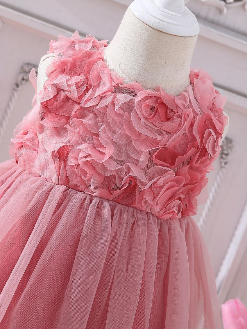 Baby Appliques Mesh Overlay Dress