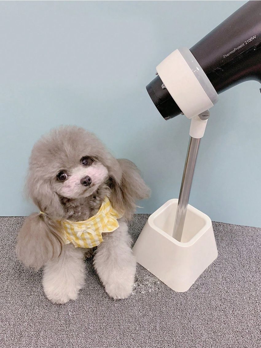 1pc Stainless Steel 180 Degree Rotatable Holder For Hair Dryer And Pet Hair Drying, With Plastic Base, White