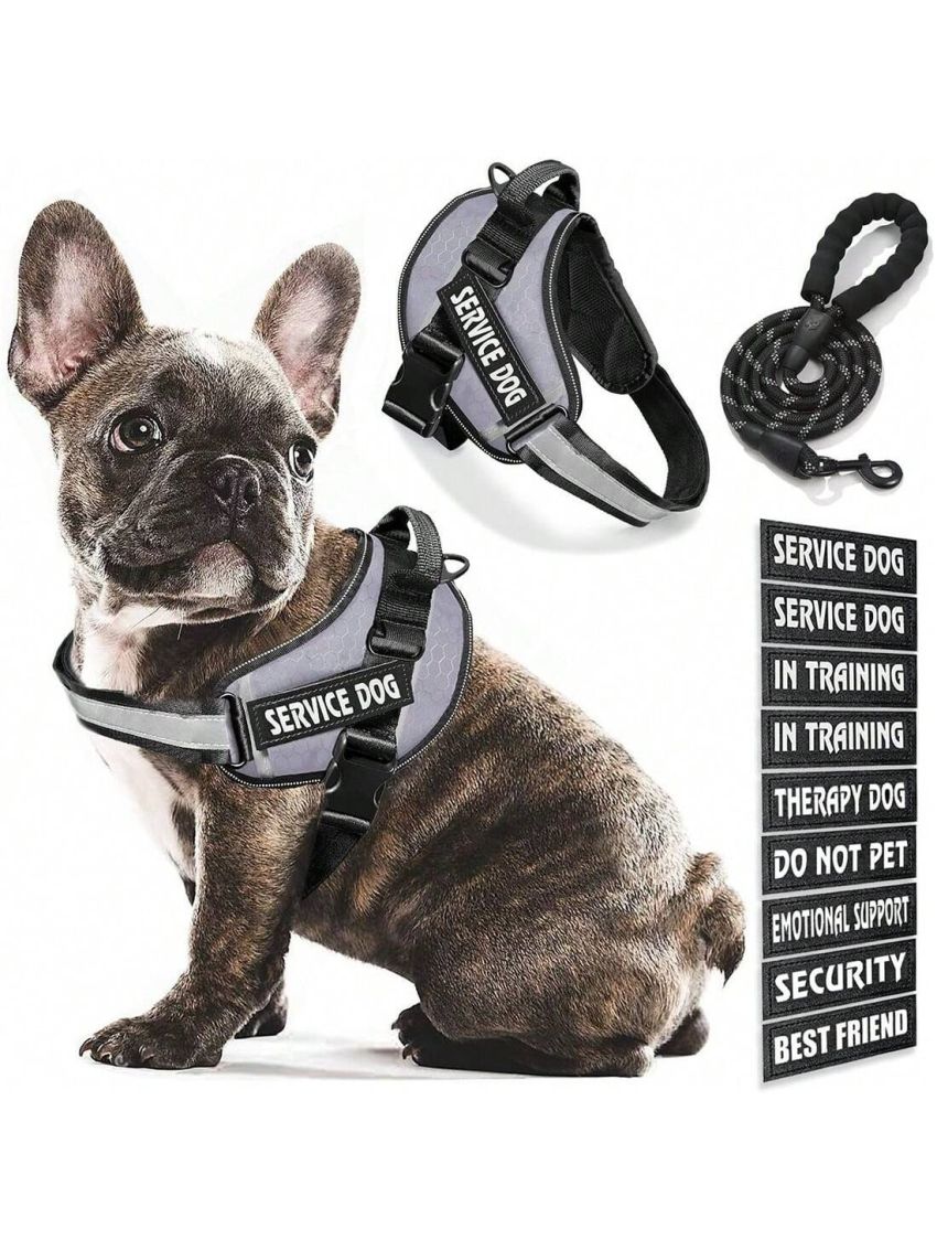BB Brotrade Dog Vest,9 Dog Patches No Pull Dog Harness and Leash Set with Handle,Easy On and Off Pet Vest Harness with Night Safe Reflective Straps for Small Medium Large Breed Dogs